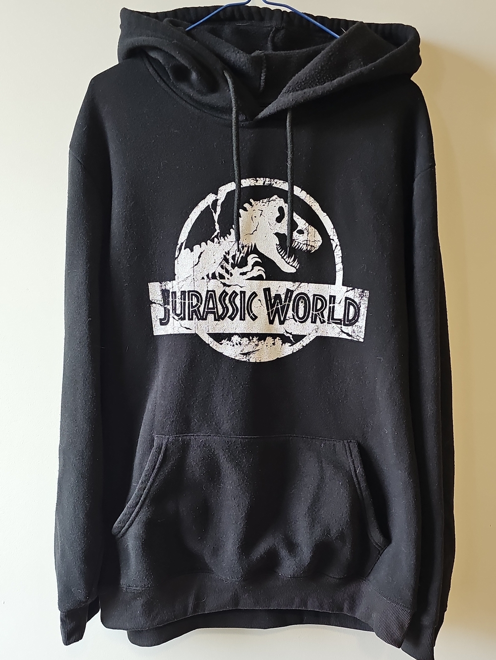 Jurassic World Lqrge Black Graphic Pullover Hoodie